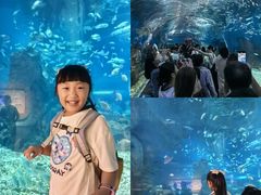-海合安武汉极地海洋公园