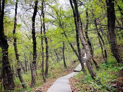 景点-北京上方山国家森林公园