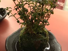 -二酉书店TOYOU BOOKS