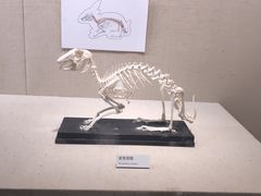 -广东省博物馆