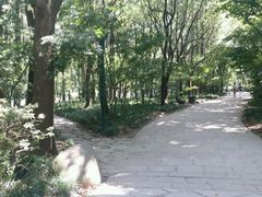 -共青国家森林公园-售票处