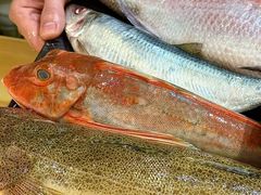 -镹·鱼料理  国产鱼使用店