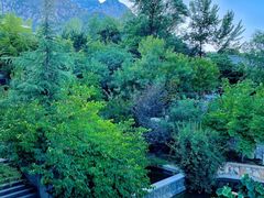 -禅宗少林·音乐大典