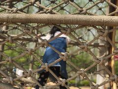 -合肥滨湖国家森林公园