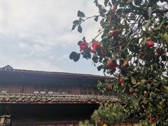 -峨眉山报国寺