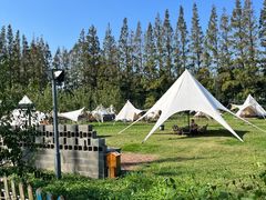 -前小桔亲子创意农场·草莓采摘·露营烧烤