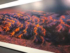 -罗红摄影艺术馆