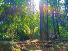 -火炉山森林公园