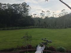 -黄埔油麻山森林公园