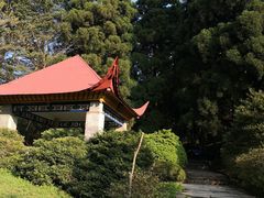 -庐山风景区花径公园