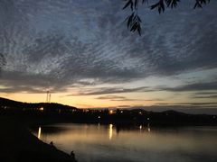 -济南国际园博园