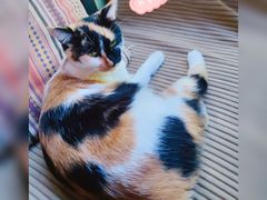 -BUND·FIVE外滩5号(天际店)