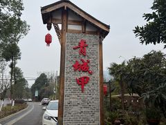 -青城甲(青城山店)