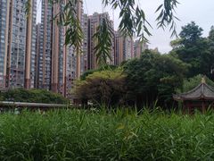 -温江公园