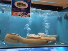 -南海渔家•海鲜•正宗海南菜(海棠湾店)
