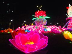 -映月湖公园