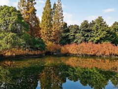 -上海滨江森林公园