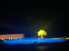 -鼎盛王朝康熙大典实景演出