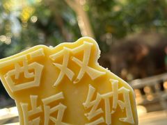 -曼听御花园