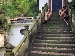 -南山植物园