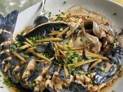 -生态苑农庄(十里画廊遇龙河店)