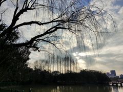 景点-黄兴公园