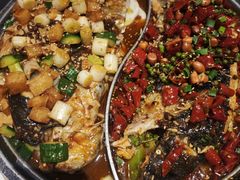 -锦尚阁烤鱼(望京新荟城店)