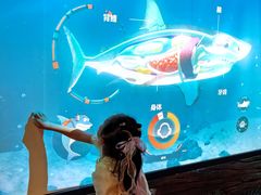 -沈阳海洋探索中心