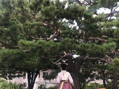 -景福宫