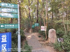 -紫金山山顶公园