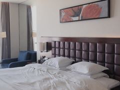 -上海浦东绿地铂骊酒店