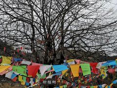 -硗碛藏寨·神木垒景区