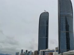 -演武大桥观景平台
