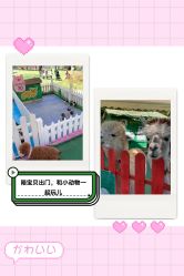 -萌宠亲子动物乐园(槐房万达店)