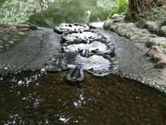 -成都市活水公园