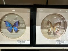 -深圳龙华星河COCO City(民治店)