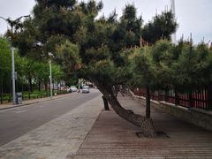 -老虎石海上公园