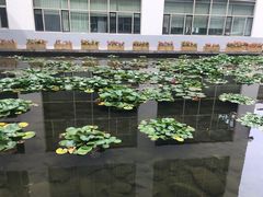 -中国医科大学附属盛京医院(南湖院区)