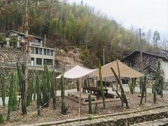 -MOJ coffee(瓯海泽雅水碓坑店)