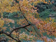 景点-广州市石门国家森林公园