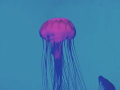 -沈阳海洋探索中心