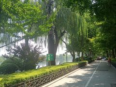 -后海公园