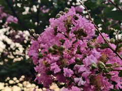 -泰合玺·精油疗愈 SPA(南京河西万达店)