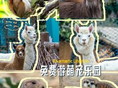-佛冈森波拉度假区