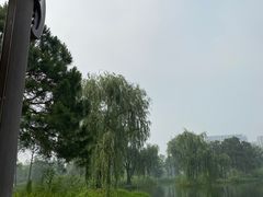 -白鹭湾湿地公园