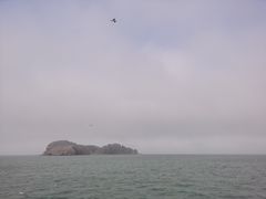 -海驴岛(荣成市)