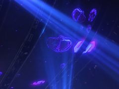-SPACE(欢乐颂购物中心店)
