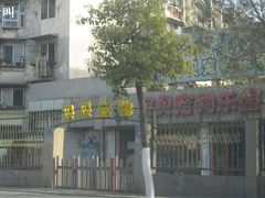-贝贝宠物乐园(常青花园店)