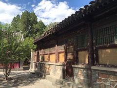 -红楼梦邮局