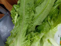 -麻奢鸽农庄·梦里水乡